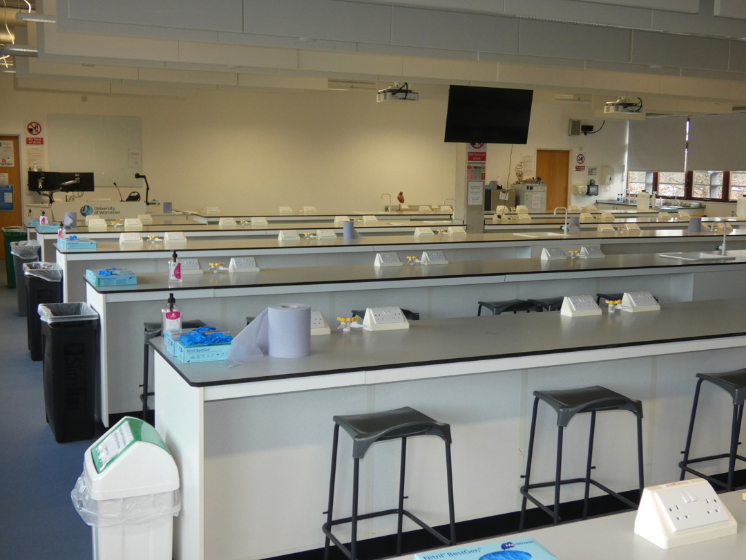 photo of room CD 1003         