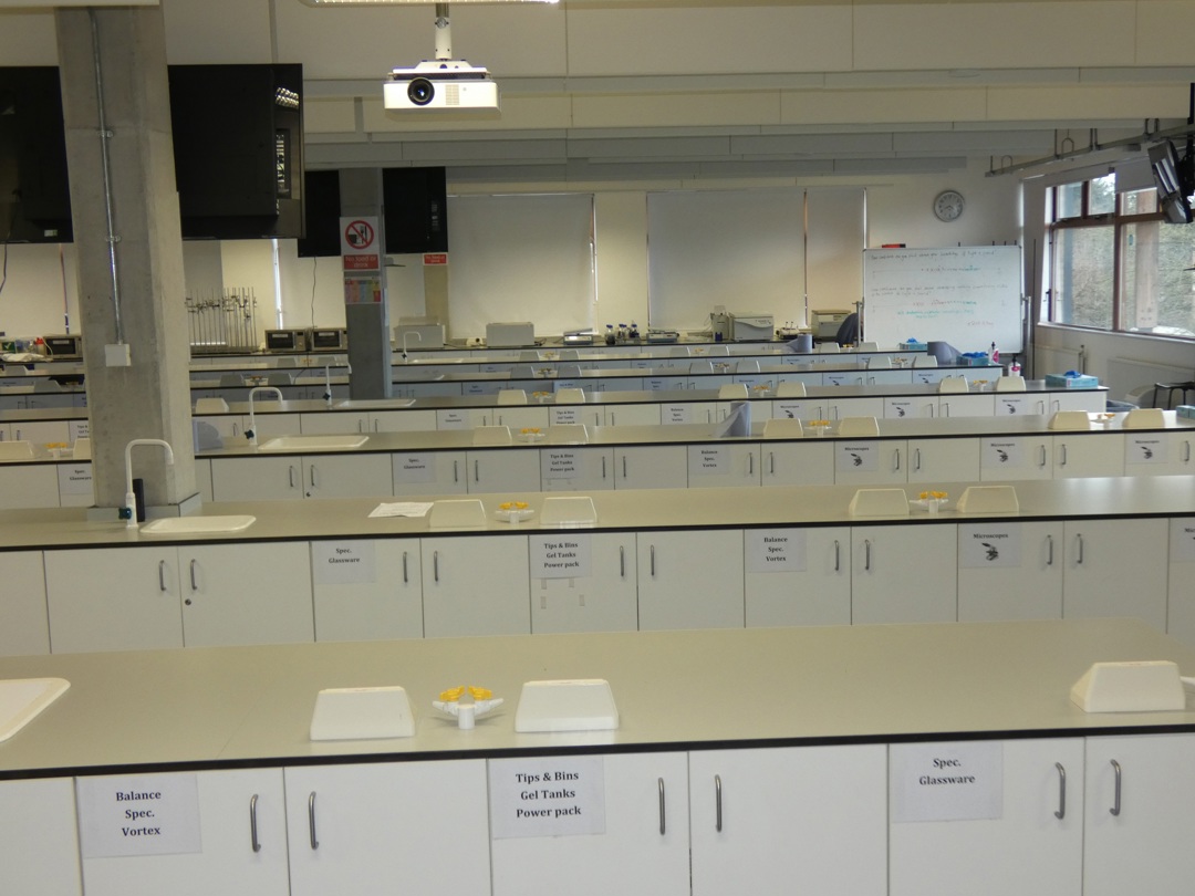 photo of room CD 1003         